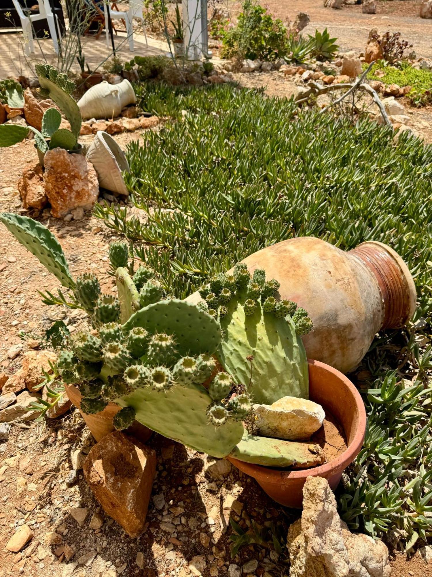 Aria Case Vacanze Ilha de Ilha de Favignana Exterior foto