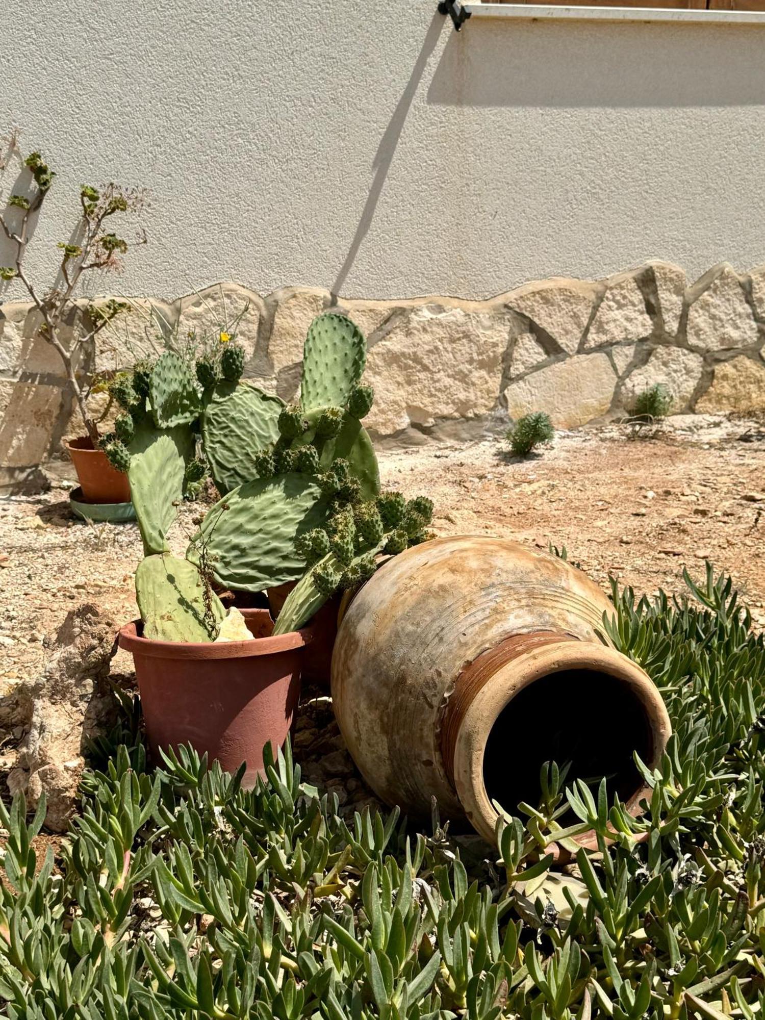 Aria Case Vacanze Ilha de Ilha de Favignana Exterior foto